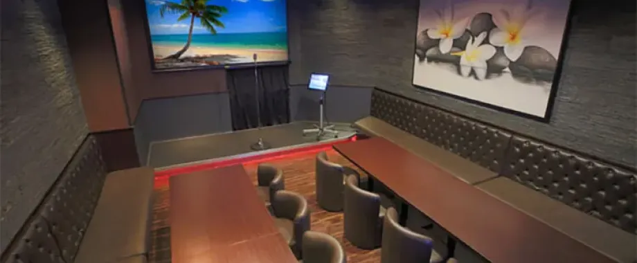 カラオケパセラAKIBAマルチエンターテインメント プルメリア