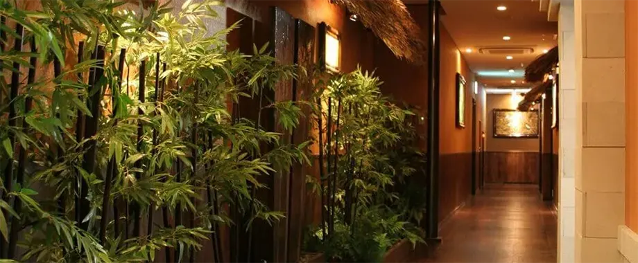 カラオケパセラ銀座店 アバンの店内画像