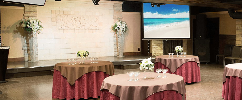 大きなスクリーンにDVDやブルーレイ等も流せます